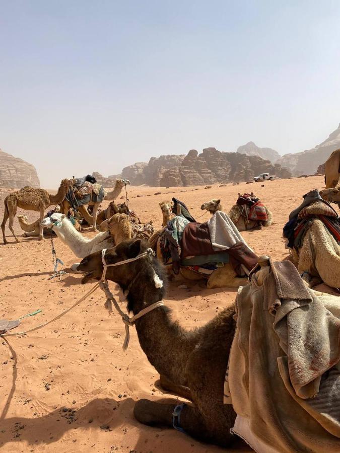 Wadi Rum Maracana Camp エクステリア 写真